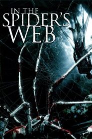 In the Spider’s Web