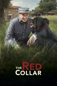 The Red Collar