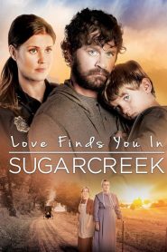 Love Finds You In Sugarcreek