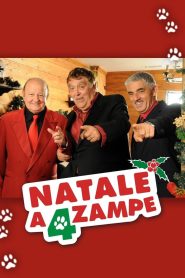 Natale a 4 zampe