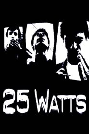 25 Watts