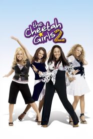 The Cheetah Girls 2