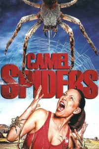 Camel Spiders