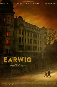 Earwig