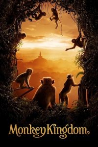 Monkey Kingdom