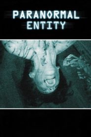 Paranormal Entity