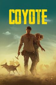 Coyote