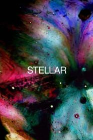 Stellar