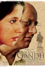 Maine Gandhi Ko Nahin Mara