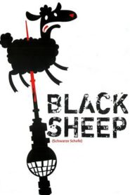 Black Sheep