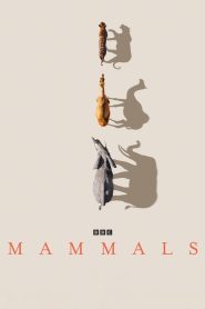 Mammals