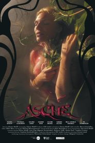 Asche