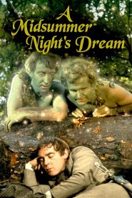 A Midsummer Night’s Dream