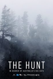 The Hunt: In Search of Australia’s Big Cats