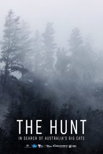 The Hunt: In Search of Australia’s Big Cats